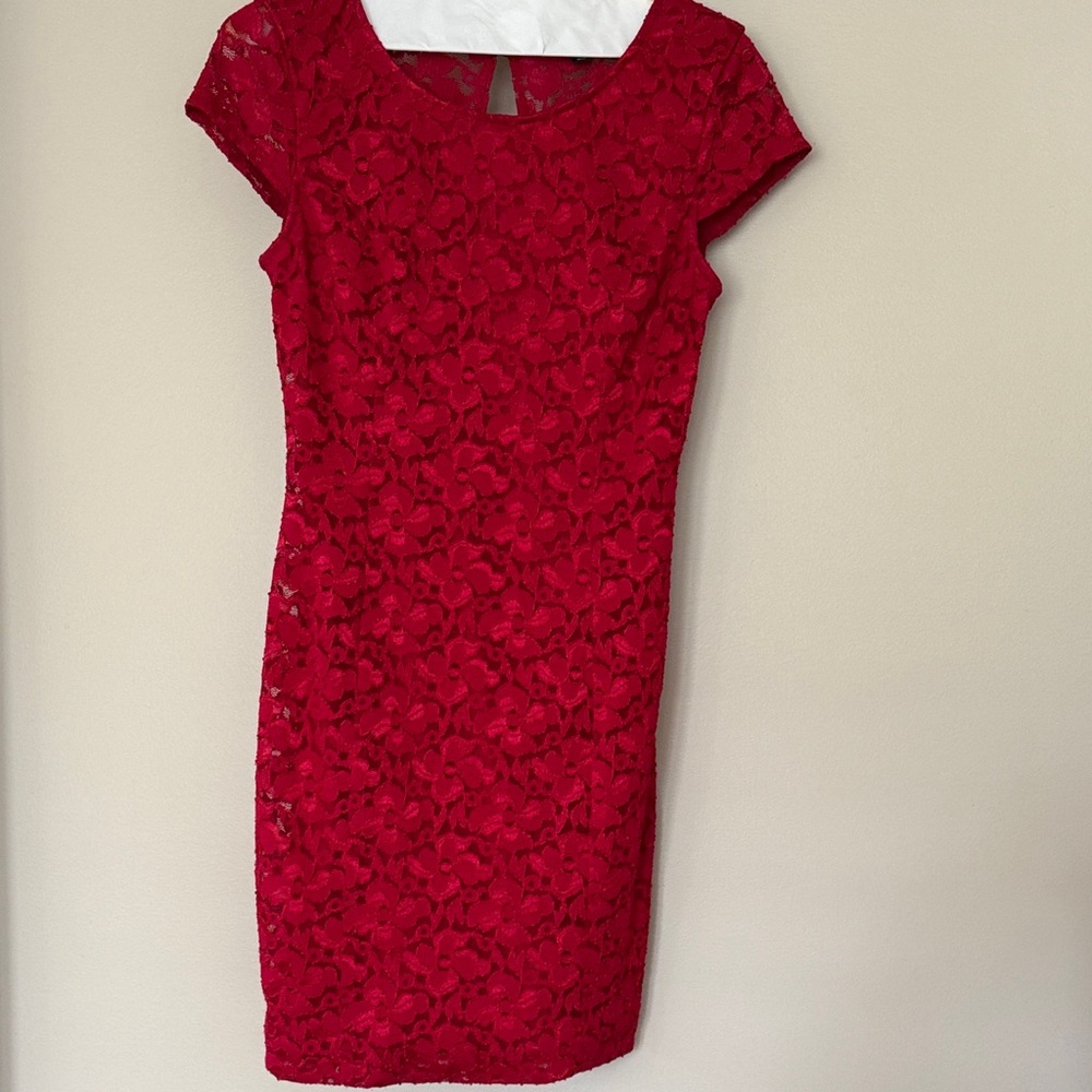 As U Wish Red Lace Mini Dress Size 7